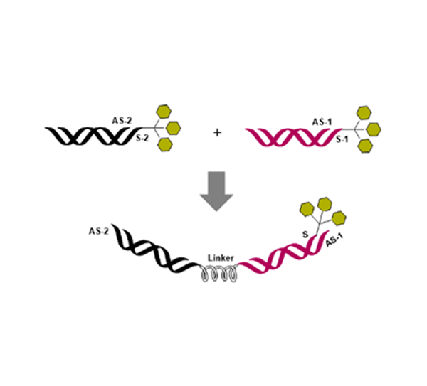 苏州卡耐博生物技术有限公司_07.png